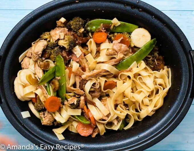 slow cooker with chicken lo mein
